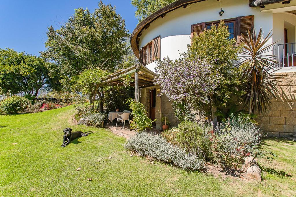Picardie Guest Farm Paarl Exteriér fotografie